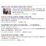 枣庄朱安安：SEO外链代发行业大揭密